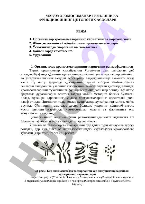 Хромосомалар тузилиши ва функциясининг цитологик асослари