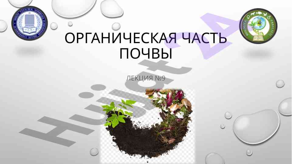 Роль ресурсосберегающего сельского хозяйства в почве