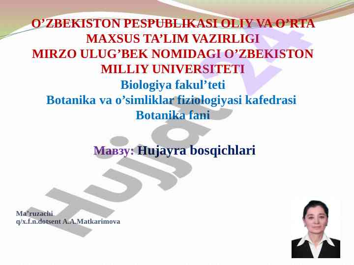 Hujayra bosqichlari va ularning ahamiyati