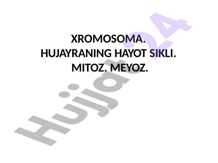 Mitoz va meyoz hujayra hayot sikli