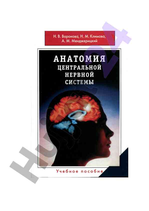 Anatomiya markaziy nerv tizimi: o‘quv pusobi