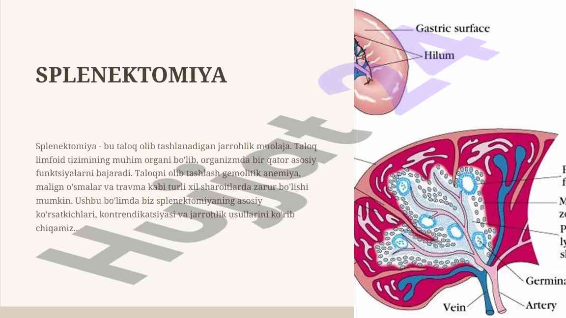Splenektomiya jarrahligi haqida asosiy ma'lumotlar