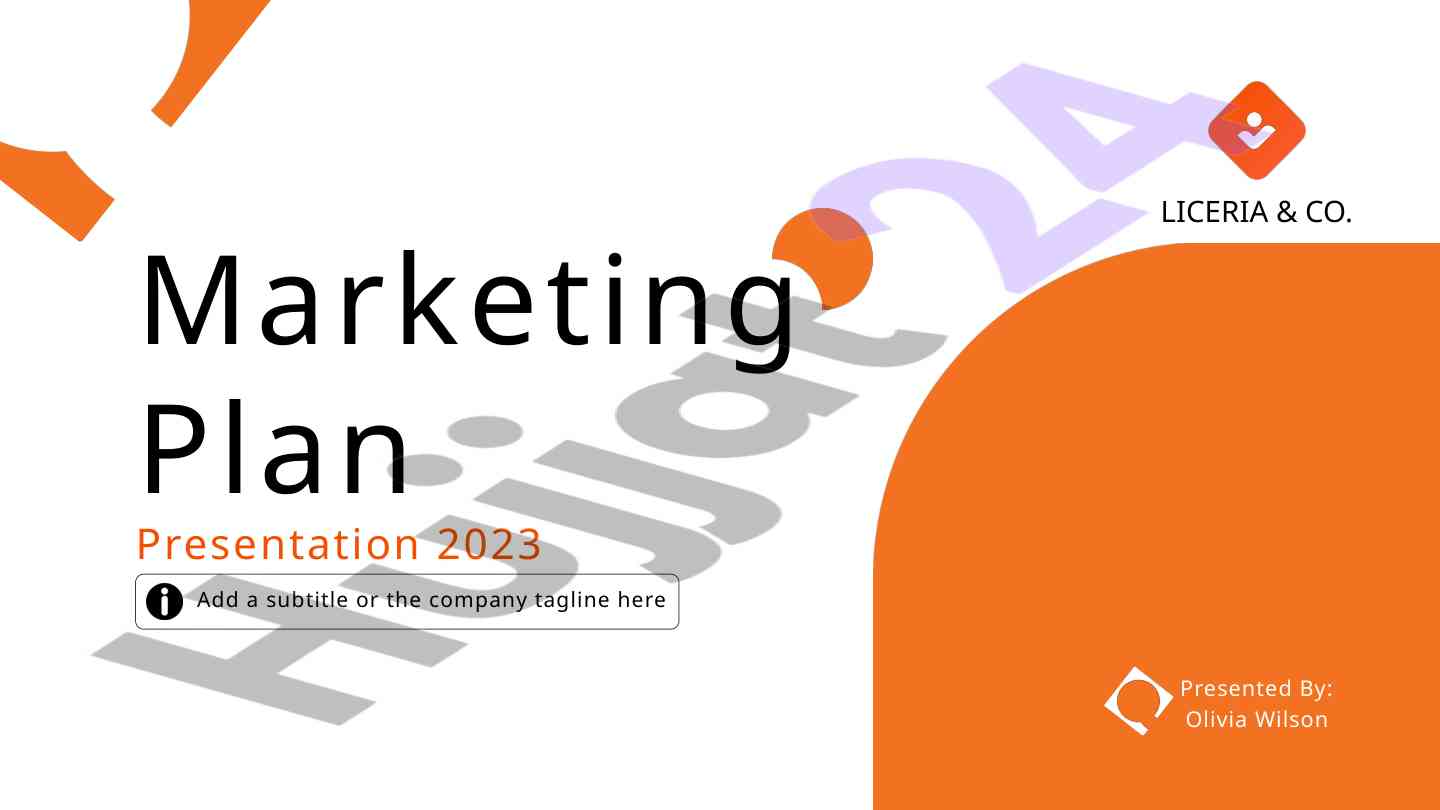Marketing plan for liceria & co campaign 2023