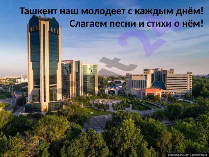 Ташкент: спортивные и культурные достопримечательности