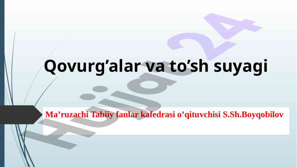 Qovurg’alar va to’sh suyagi tushunchalari