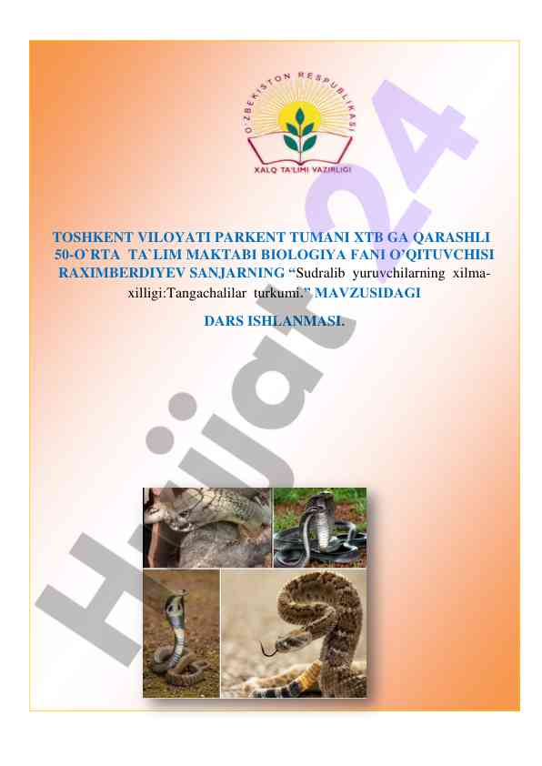 Sudralib yuruvchilarning xilma-xilligi: tangachalilar turumi