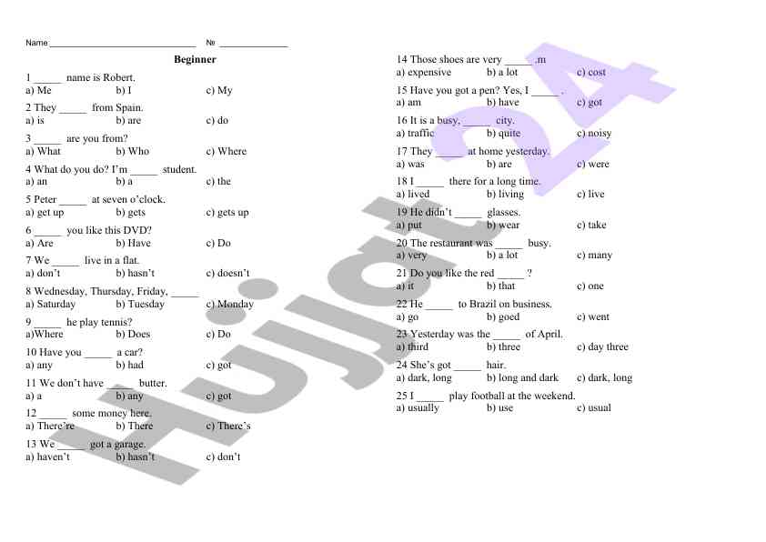 Beginner level english grammar test