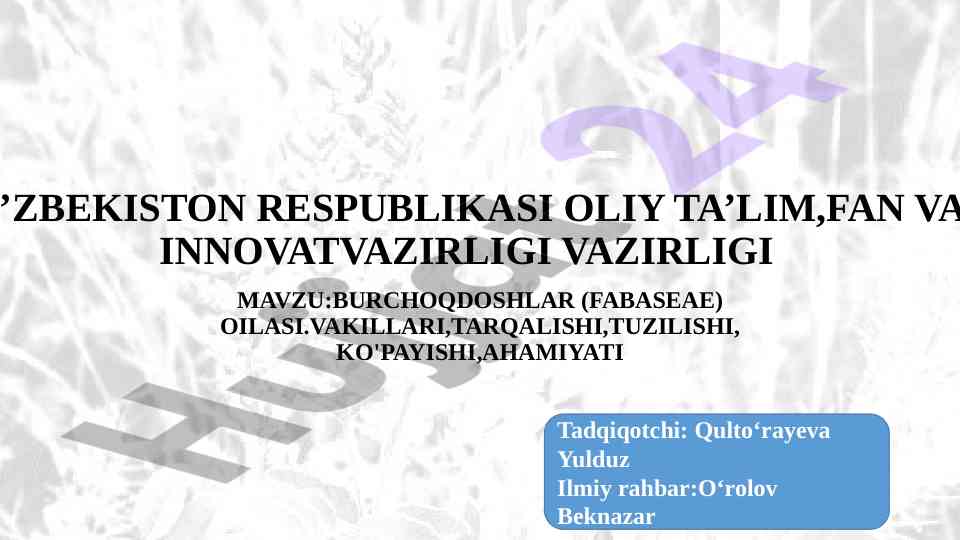 Burchoqdoshlar oilasining ahamiyati va tahlili