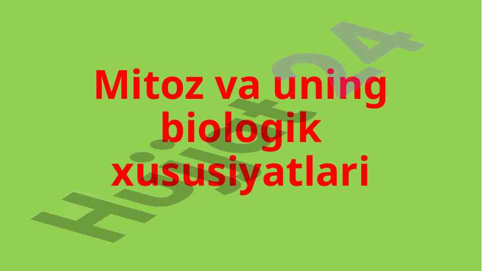Mitoz va uning biologik xususiyatlari tahlili
