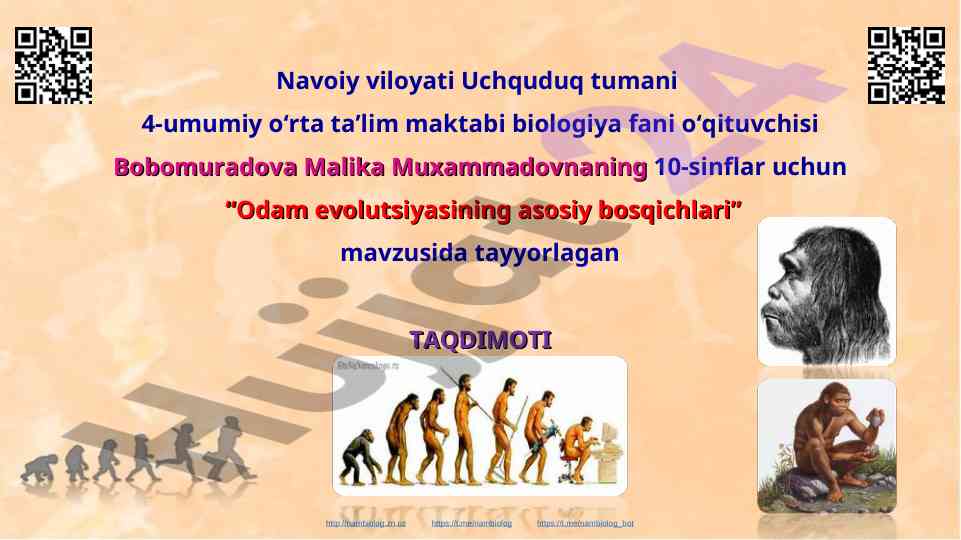 Odam evolutsiyasining asosiy bosqichlari taqdimoti