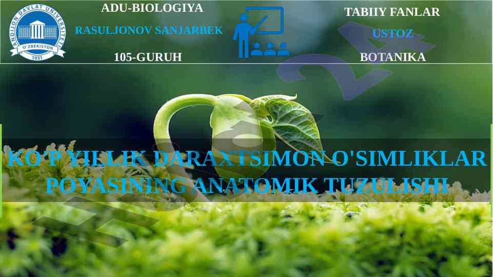 Ko'p yillik darakhtsimon o'simliklar poyasining anatomik tuzilishi