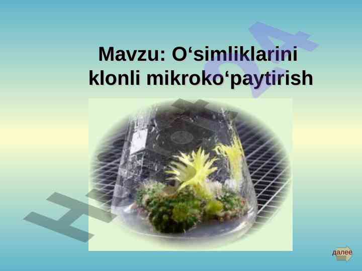 O‘simliklarni klonli mikroko‘paytirish usullari