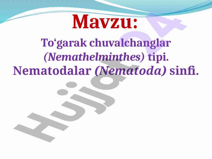 Togarak chuvalchanglar tipi va nematodalar sinfi