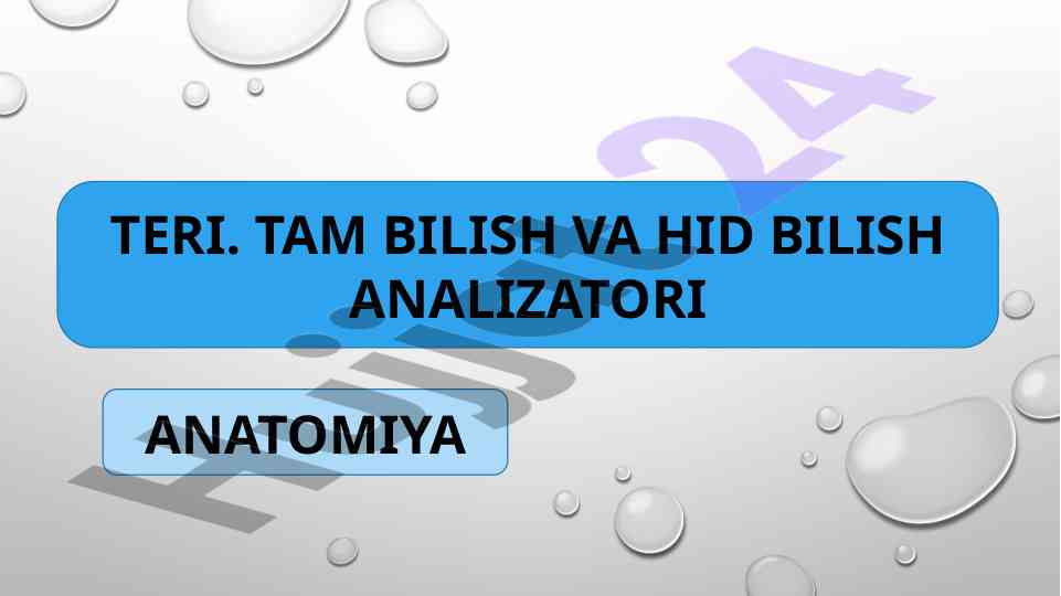 Teri analizatorlari va hid bilish analizatorlari
