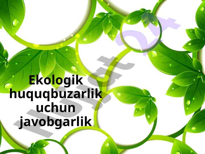 Ekologik huquqbuzarlik va javobgarlik turlari