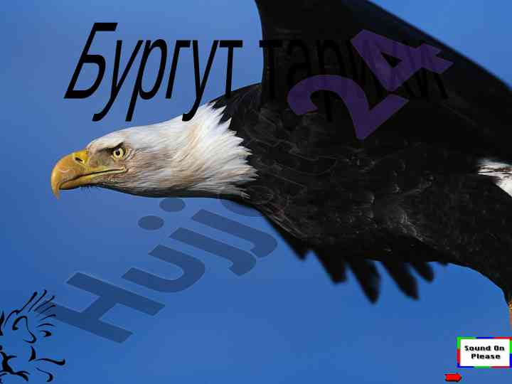 Burgut tarixi va o‘zgarish jarayoni