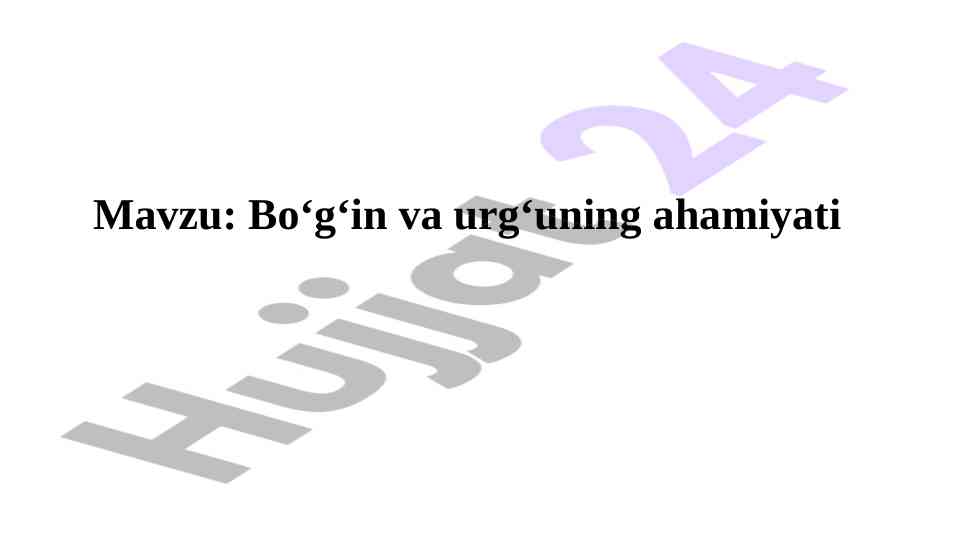 Bo‘g‘in va urg‘uning ahamiyati haqida ma’lumot
