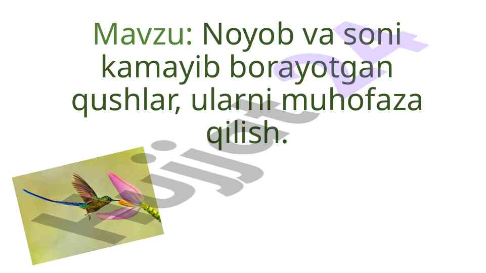 Noyob Va SonI Kamayib Borayotgan Qushlarni Muhofaza Qilish