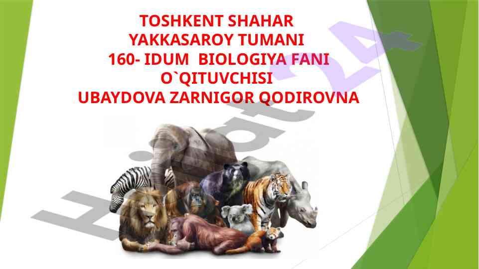 Biologiya fanida parrandachilik savollari