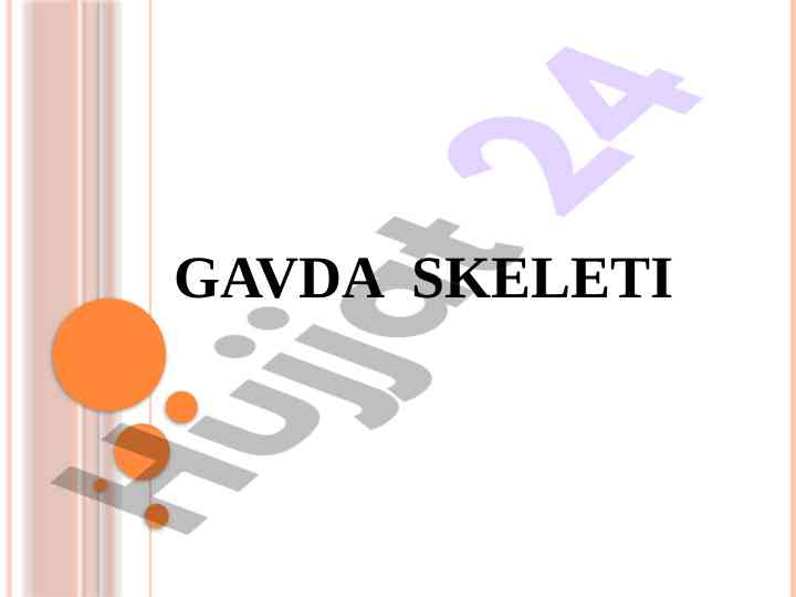 Gavda skeleti dars rejasi va umurtqa pogonasi