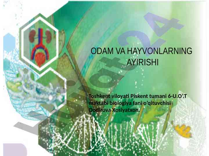 Odam va hayvonlarning ayirish jarayonlari