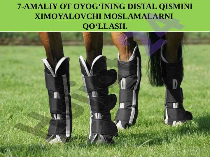 Ot oyoqlarining distal qismini himoyalash usullari