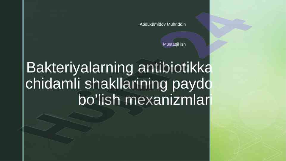 Bakteriyalarning antibiotikka chidamli mexanizmlari