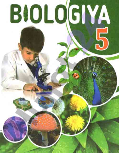 O‘rta ta’lim 5-sinf biologiya darsligi