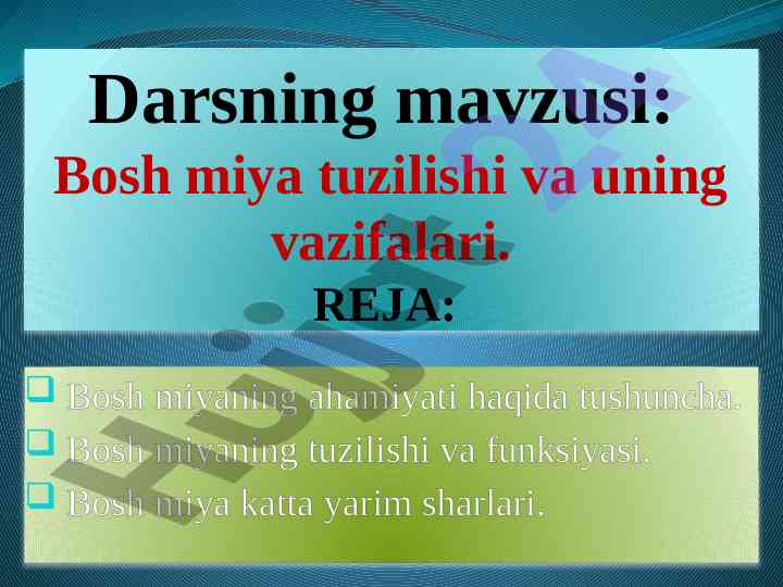 Bosh miya tuzilishi va uning vazifalari
