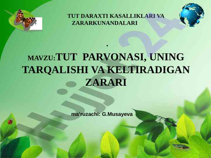Tut parvonasi va uning tarqalishi haqida ma'ruza