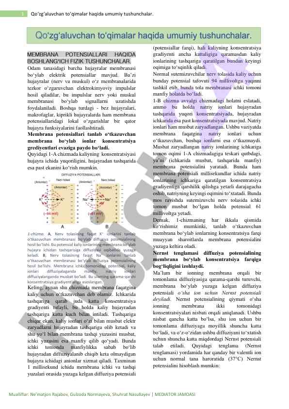 Qoʻzgʻaluvchan toʻqimalar va membrana potensiallari