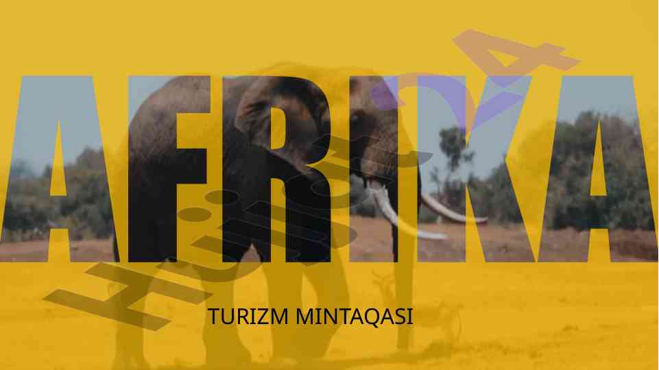 Afrikada mashhur turizm turlari va ekoturizm