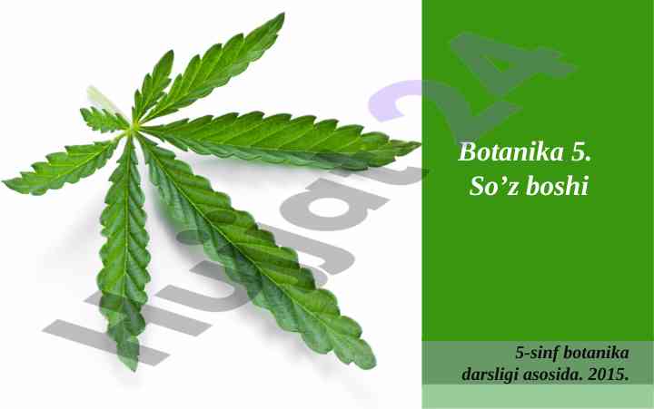 Botanika darsligi 5-sinf o‘quv qollanmasi