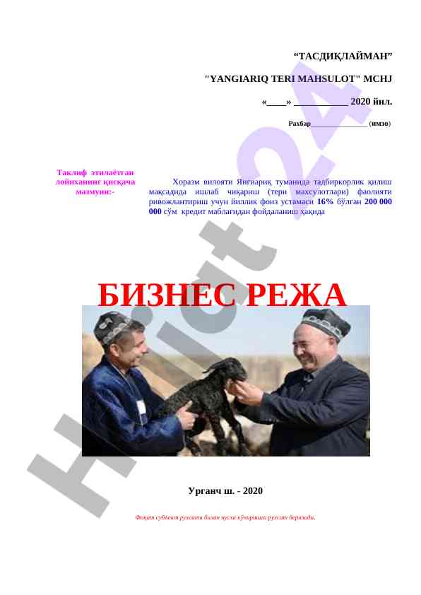 Тадбиркорлик ишлаб чиқариш лойихаси