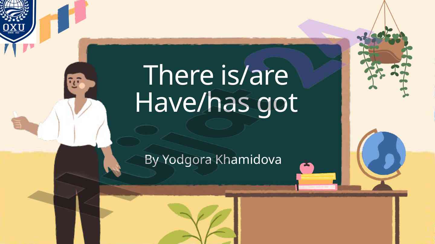 Understanding there is and there are in english