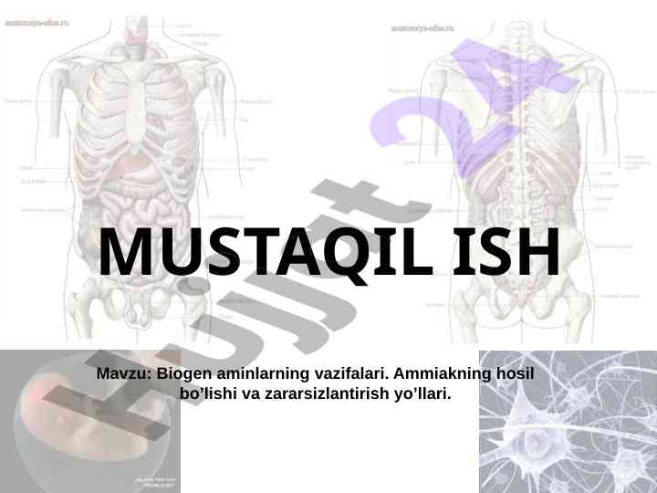 Biogen aminlarning vazifalari va ammiak zararsizlantirish