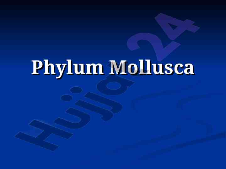 Phylum mollusca overview and taxonomy insights