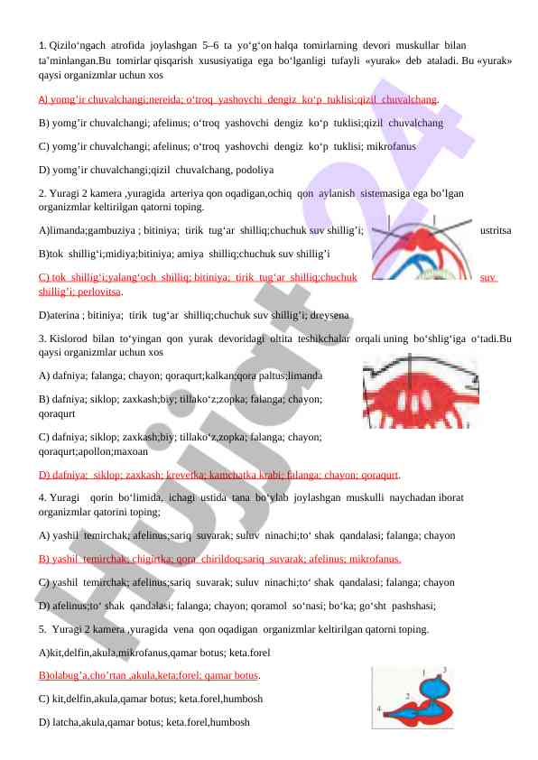 Yurak va qon aylanish tizimlari bo‘yicha testlar