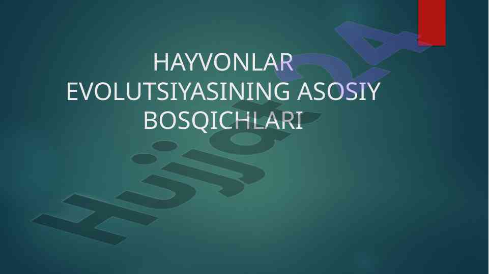 Hayvonlar evolutsiyasining asosiy bosqichlari