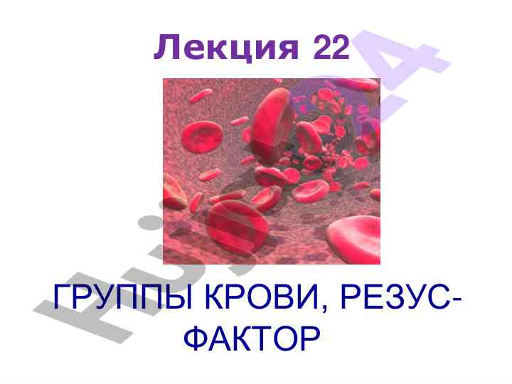 Кровяные группы и их описание