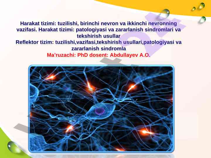 Harakat tizimi va reflektor tizimining tuzilishi