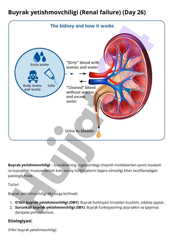Buyrak yetishmovchiligi: turlar va etiologiya