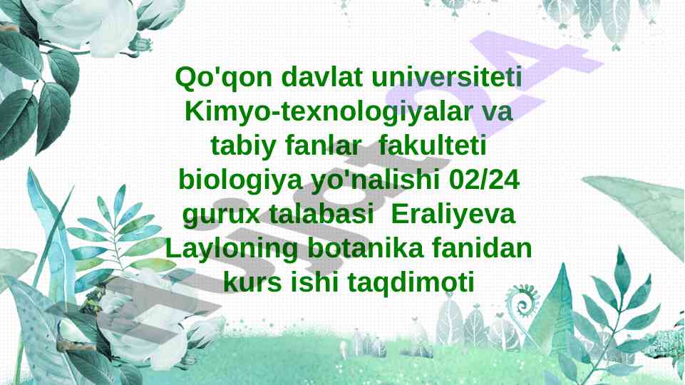 Yalpiz kabilar sinfchasi va ahamiyati taqdimoti