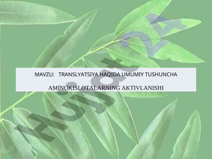 Translyatsiya va aminokislotalarning faollanishi