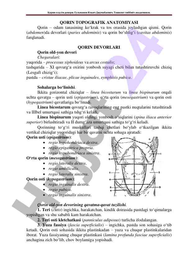 Qorin topografik anatomiyasi va qorin devorlari