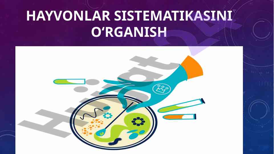 Sutemizuvchi hayvonlar sistemasini o‘rganish