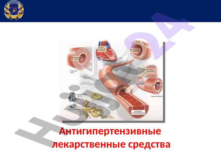 Антигипертензивные лекарственные средства обзор