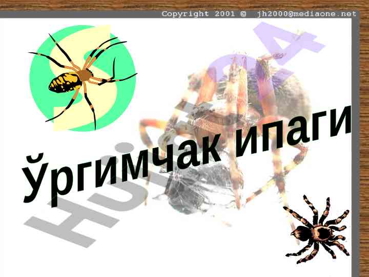 Ўргимчак тўрининг биотиббий ишлатилиши
