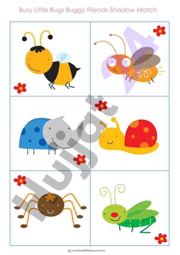 Busy little bugs shadow match activity