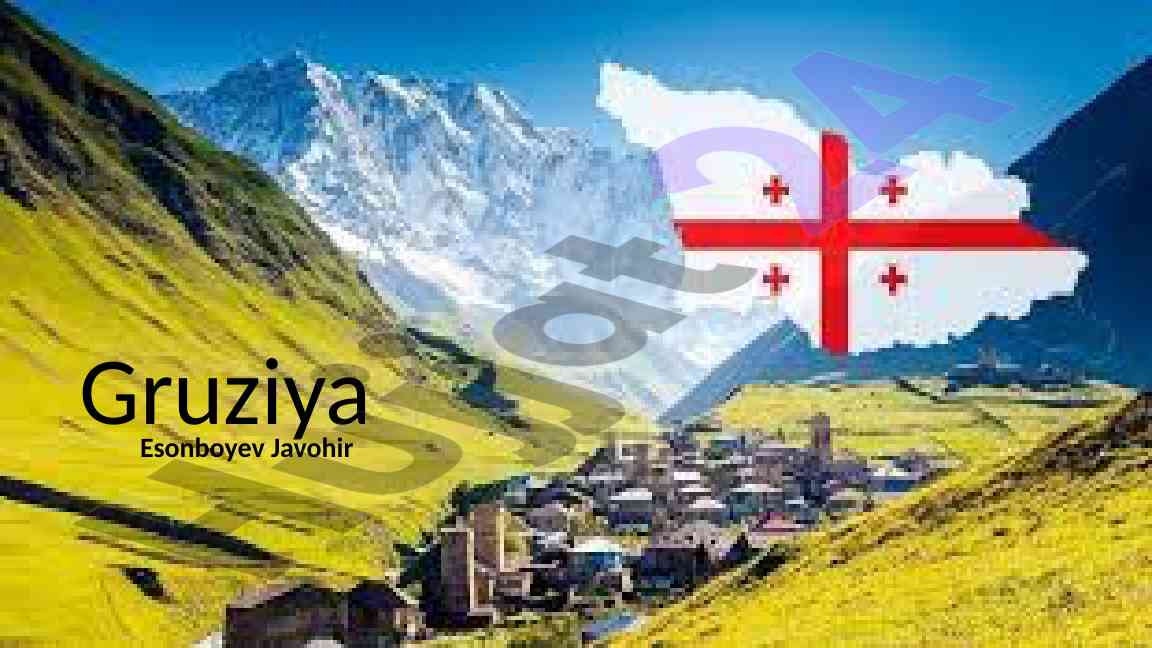 Gruziya Valyuta Siyosati Asoslari